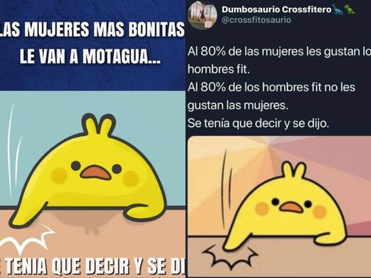 Los mejores memes de 'se tenía que decir y se dijo'