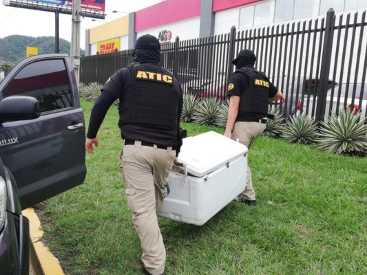 Así era transportada fuerte cantidad de dólares en un hielera llena de pescado