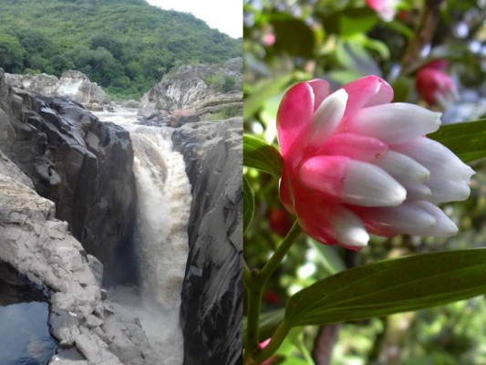 Biósfera de San Marcos de Colón y su cautivadora belleza natural que adorna Honduras