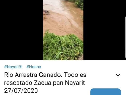 ¡Cuidado Honduras! Estas son las noticias falsas que circulan sobre Eta