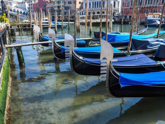 Aguas cristalinas y libres de contaminación, así lucen canales de Venecia por cuarentena