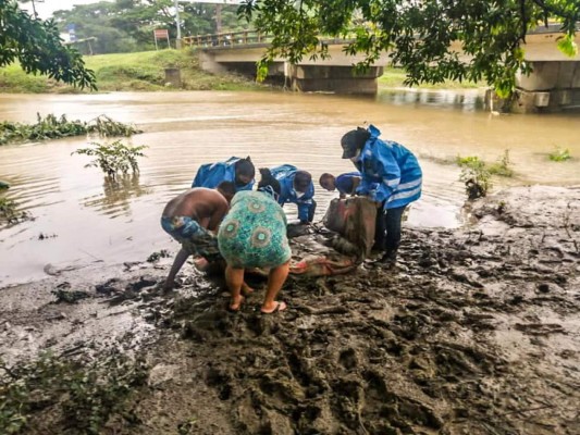 Decenas de familias continúan siendo evacuadas por impacto de Eta en Honduras (FOTOS)