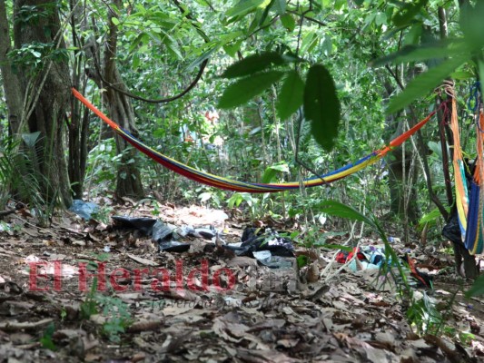 FOTOS: El campamento clandestino que tenía la Mara Salvatrucha en El Merendón