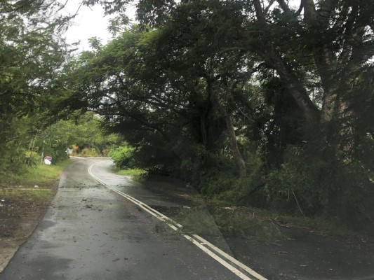 FOTOS: Dorian golpea las Bahamas como un huracán catastrófico