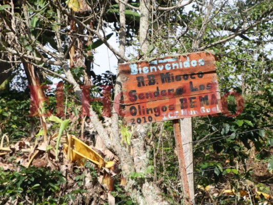 FOTOS: Guaimaca y sus bellezas naturales que cautivan a los hondureños FOTOS: Diversión, aventura y belleza cautivan a los hondureños en Guaimaca