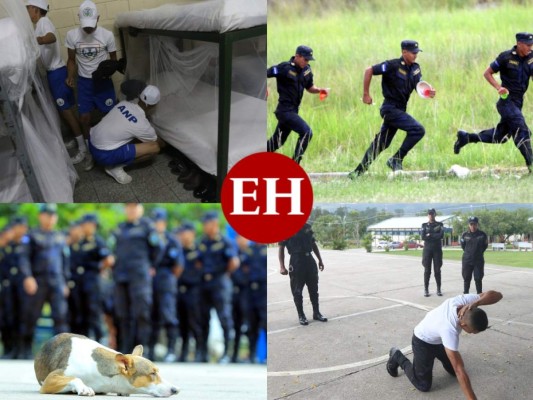 FOTOS: Así es un día en la formación de los agentes penitenciarios