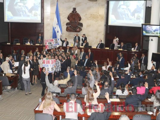 Así fue el zafarrancho de Libre en el Congreso Nacional por propuesta que pide continuidad de Batson en el TSE