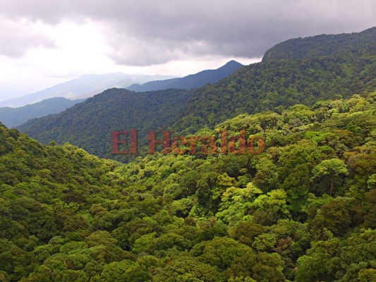 Lugares que debes visitar en la 'Semana Morazánica' en Honduras