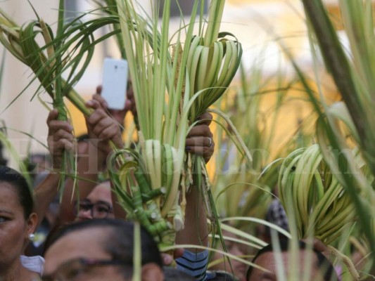 Honduras recibe la Semana Santa con miles de ramos en Tegucigalpa