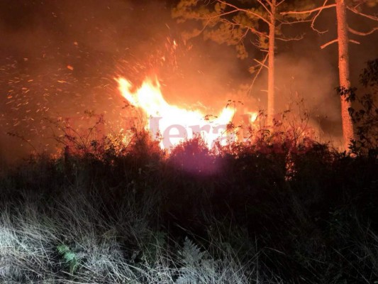 Imágenes del voraz incendio en el cerro Uyuca, salida al oriente de la capital de Honduras