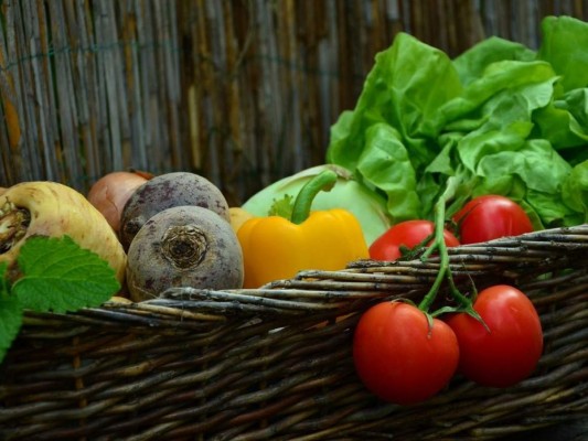 Alerta: Las dietas de pérdida de peso que debes evitar por tu salud