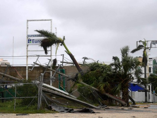 Árboles caídos, negocios destruidos y calles sin acceso: el impacto del huracán Delta