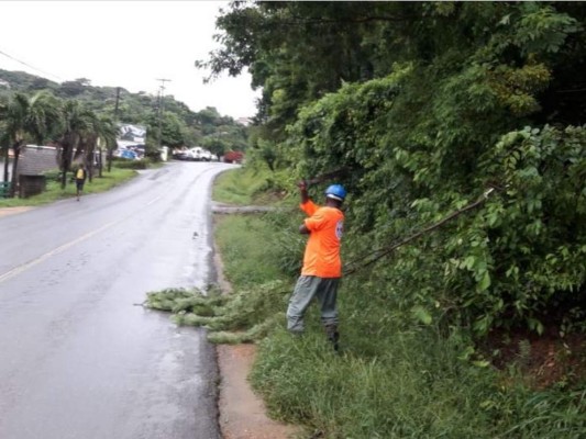 Fuertes lluvias dejan aludes, inundaciones y caídas de árboles en distintos sectores del país