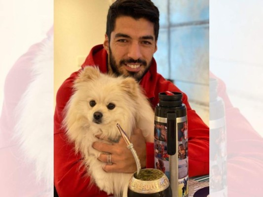 Fiestas, viajes y autos: los lujos de Luis Suárez (FOTOS)