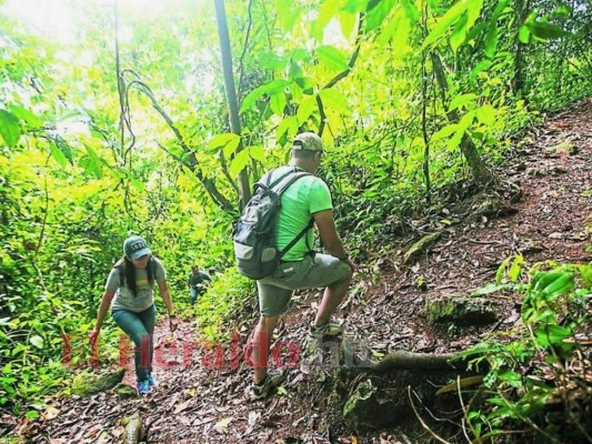 FOTOS: 10 datos de Pico Bonito, montaña en análisis por extraño humo