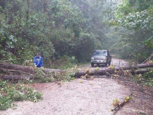 Derrumbes, puentes caídos y hundimiento de carreteras, los estragos que provoca Eta en Honduras