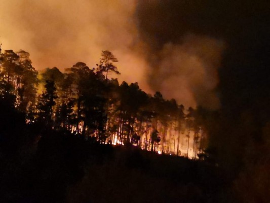 ¡Trágico! Así arde el bosque en pavoroso incendio forestal en Valle de Ángeles