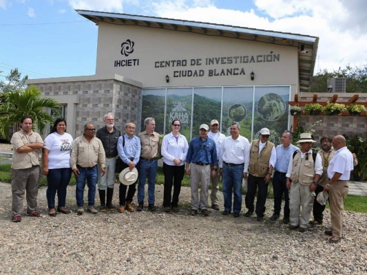 Naturaleza y vestigios, así avanzan los hallazgos en Ciudad Blanca