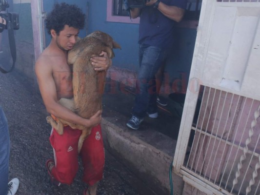 Las 15 dramáticas imágenes del incendio que cegó la vida de una menor y arrasó con siete casas en la colonia Fernando Calderón