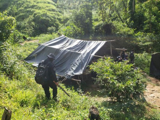 Masacres y brutales accidentes enlutan a Honduras esta semana (FOTOS)