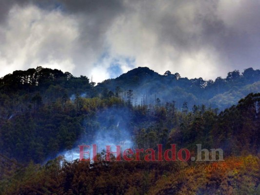 FOTOS: Así luce el cerro Upare tras voraz incendio que duró tres días