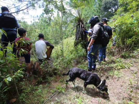 Masacres y brutales accidentes enlutan a Honduras esta semana (FOTOS)