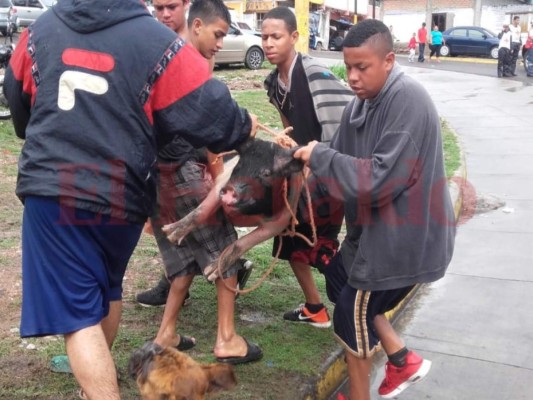 Trasladan a hondureños a albergues por inundaciones tras fuertes lluvias