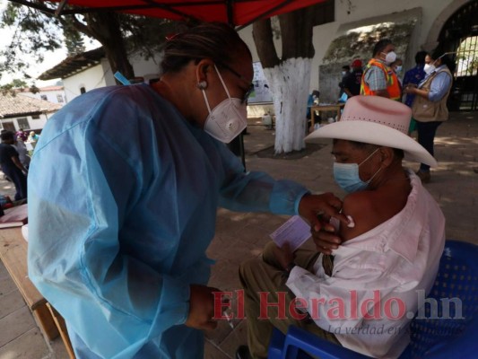 En orden y sentados, Ojojona vacuna a sus abuelitos con dosis donadas por El Salvador (FOTOS)