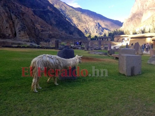 Así es Machu Picchu, la belleza de las montañas en Perú