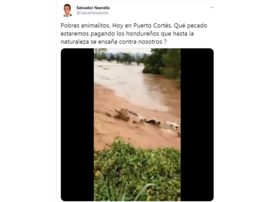 ¡Cuidado Honduras! Estas son las noticias falsas que circulan sobre Eta