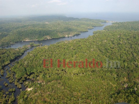 FOTOS: Ocho datos que debes saber sobre los incendios en la Amazonia