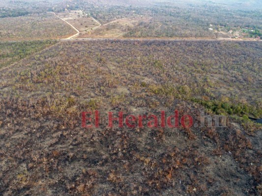 FOTOS: Ocho datos que debes saber sobre los incendios en la Amazonia