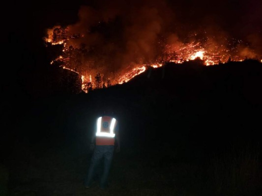 ¡Trágico! Así arde el bosque en pavoroso incendio forestal en Valle de Ángeles