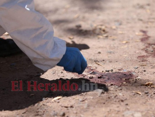 Joven a quien predicaba el pastor López se convierte en su victimario: imágenes del crimen