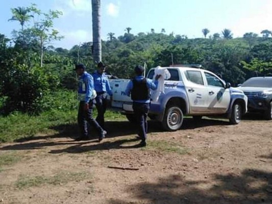 Masacres no paran en la pandemia y Honduras ya registra 31 en lo que va de 2020