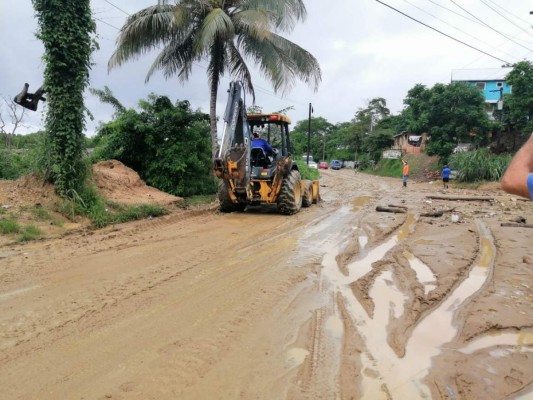 Fuertes lluvias dejan aludes, inundaciones y caídas de árboles en distintos sectores del país