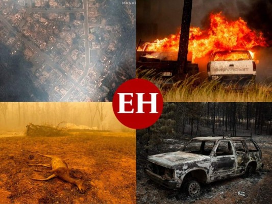 Cenizas, humo y estructuras carbonizadas: Incendio en California sigue creciendo (FOTOS)