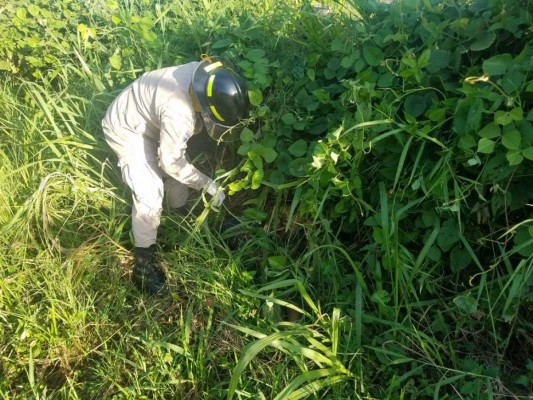 Lo que se sabe sobre el trágico accidente que dejó 5 muertos en La Ceiba