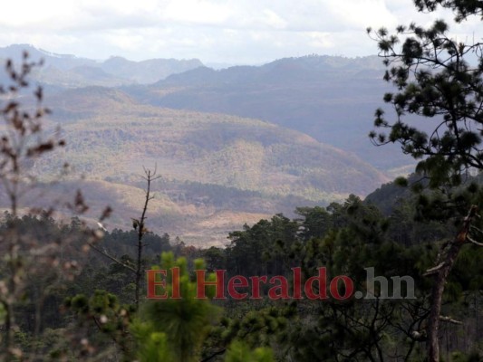 FOTOS: Así luce el cerro Upare tras voraz incendio que duró tres días