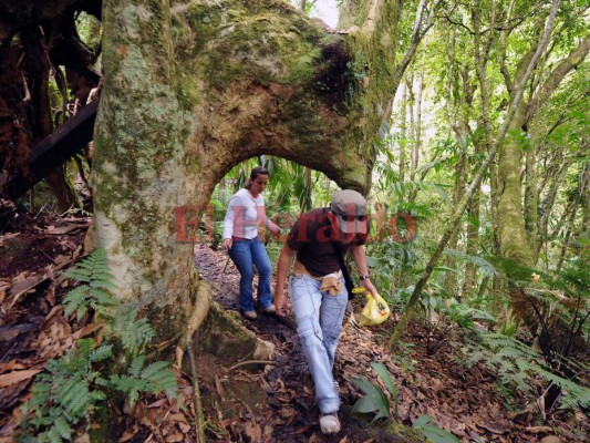 Lugares que debes visitar en la 'Semana Morazánica' en Honduras