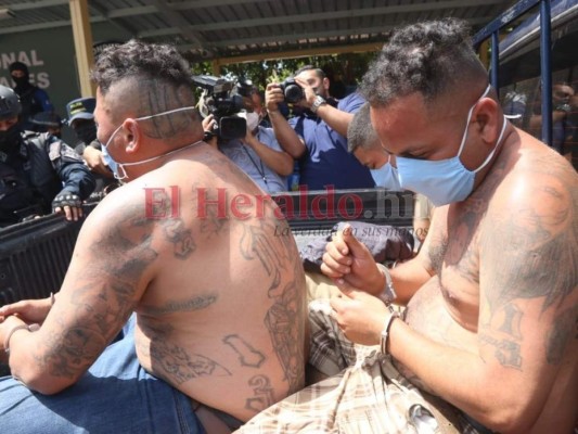 Fusiles de alto calibre, indumentaria policial y hasta 'chachas' entre objetos decomisados en campamento de la MS