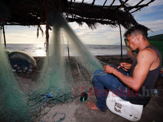 Entre el acoso de otros países y el olvido de Honduras: así trabajan los pescadores del Golfo de Fonseca