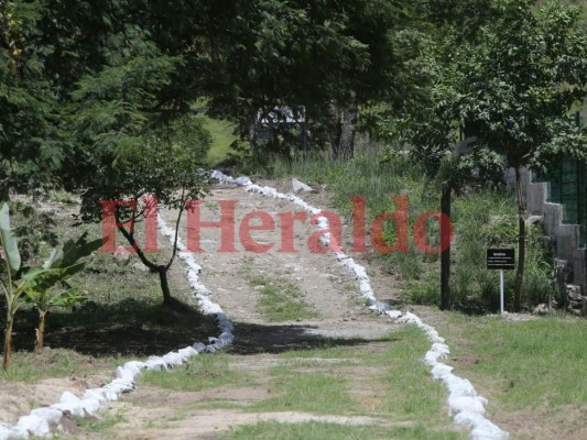 FOTOS: Así es el megaparque Campo Parada Marte inaugurado en la capital de Honduras