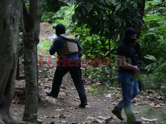 Disparos y confrontación, así fue la captura de mareros en El Merendón