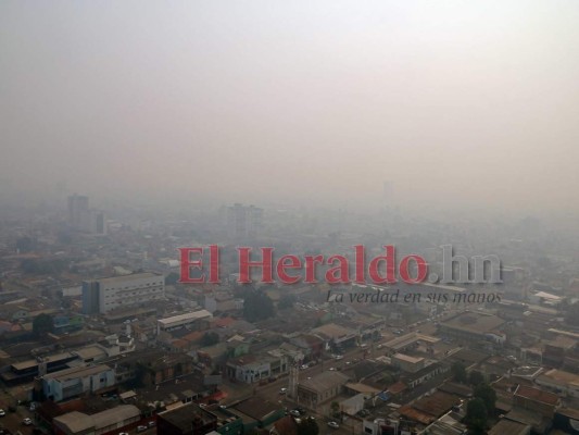 FOTOS: Ocho datos que debes saber sobre los incendios en la Amazonia