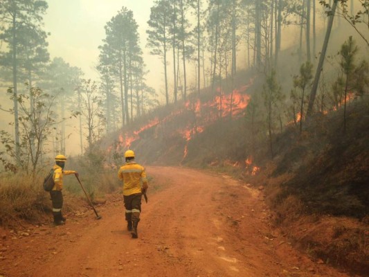 Imágenes del voraz incendio en el cerro Uyuca, salida al oriente de la capital de Honduras