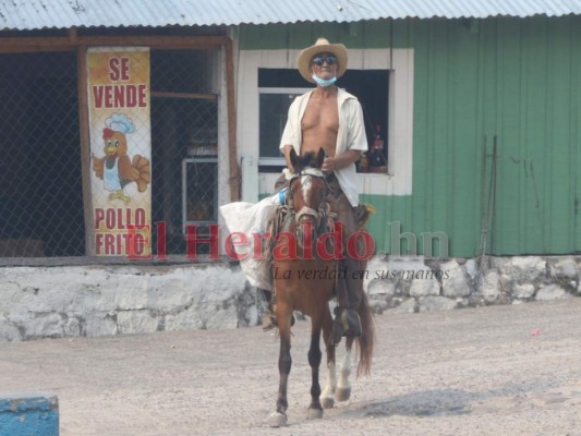 FOTOS: Desesperados por comida, hondureños bloquean carreteras y piden ayuda