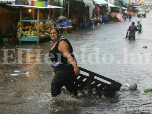 Fotos: Fuertes lluvias azotaron calles y avenidas de la capital de Honduras