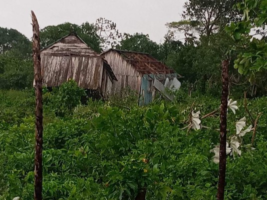 FOTOS: Huracán Iota ya deja severos daños en La Mosquitia