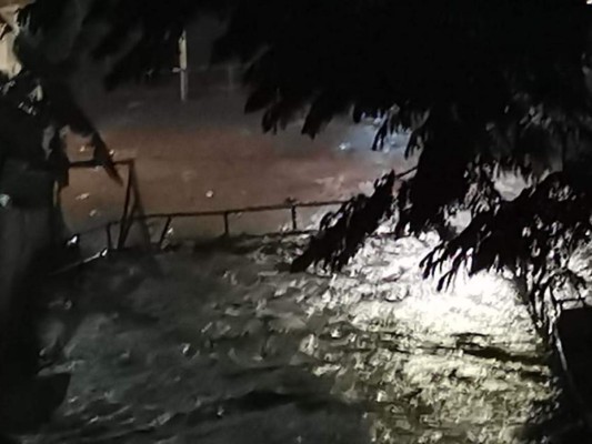 Aludes, inundaciones y árboles caídos entre daños por lluvias en la capital